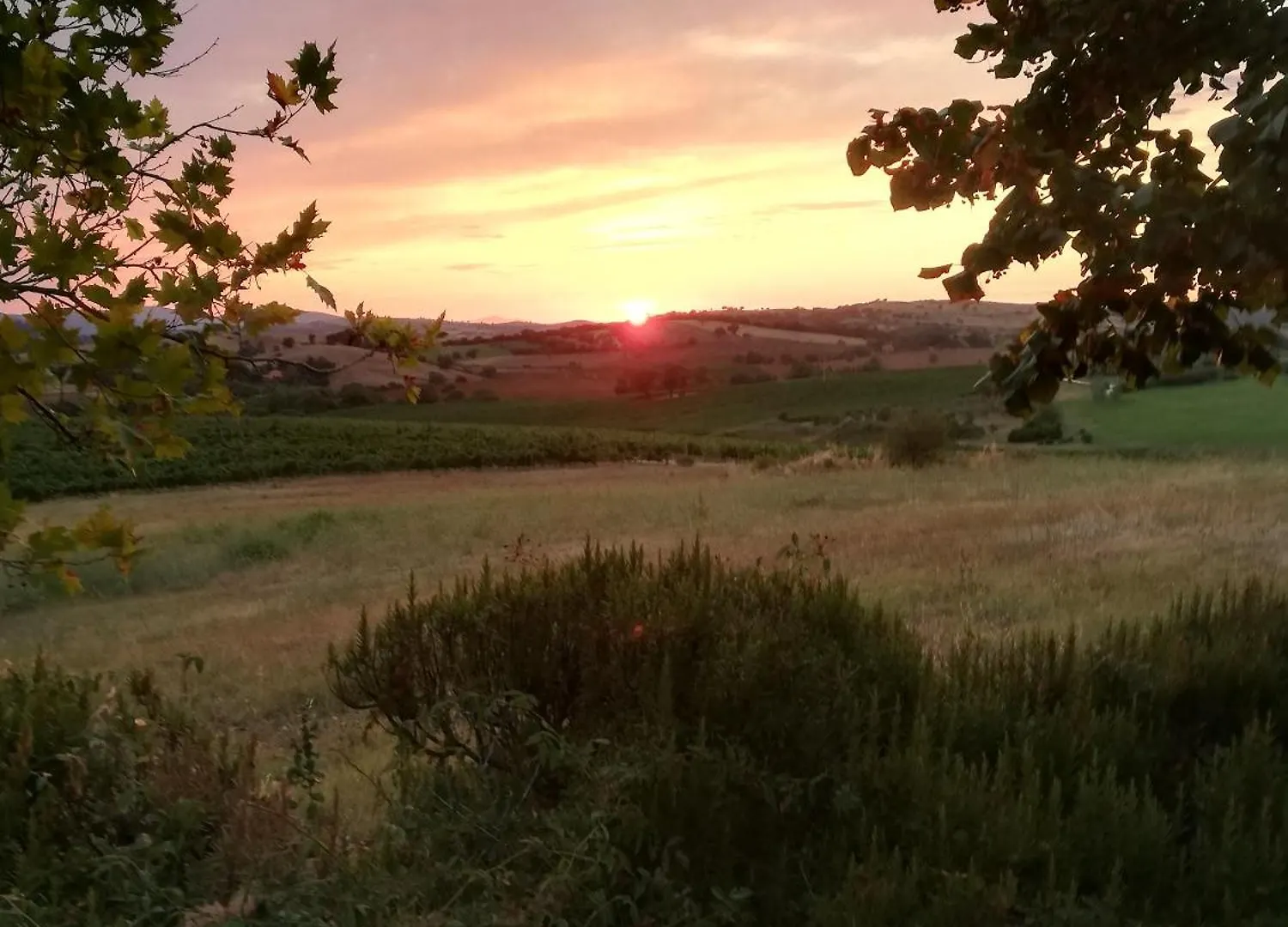 Casale Vergheria Magliano in Toscana