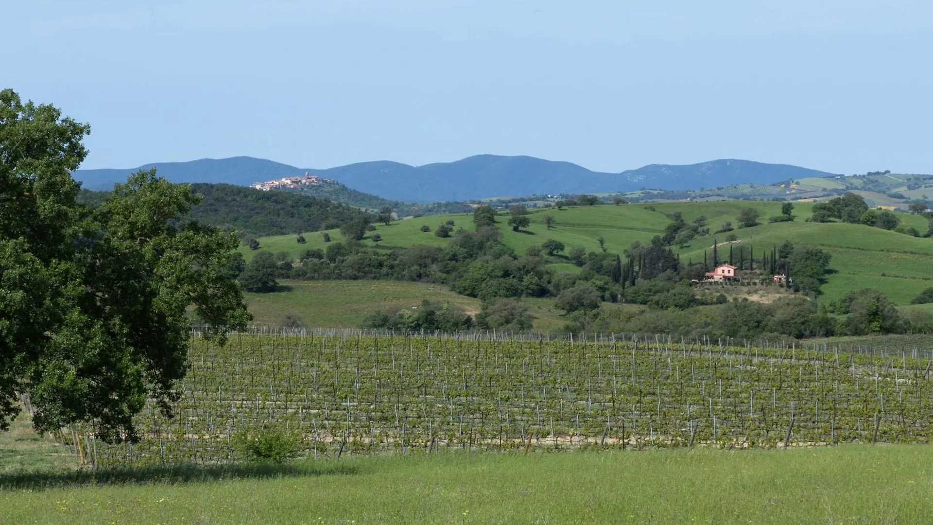 Casale Vergheria Magliano in Toscana Italy